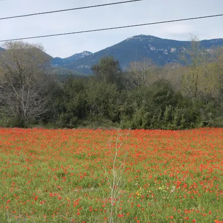Country house Ribes *