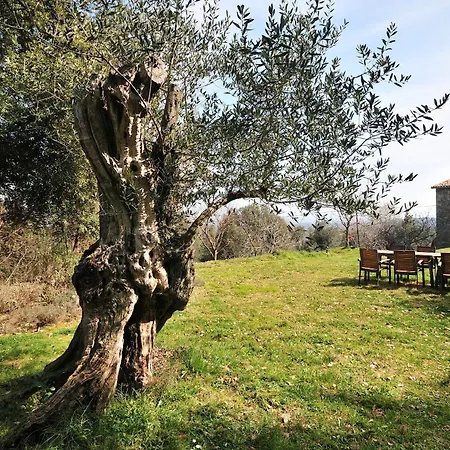 Ribes Country house Camos (Catalonia)